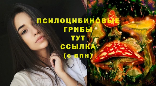 трава Михайловка