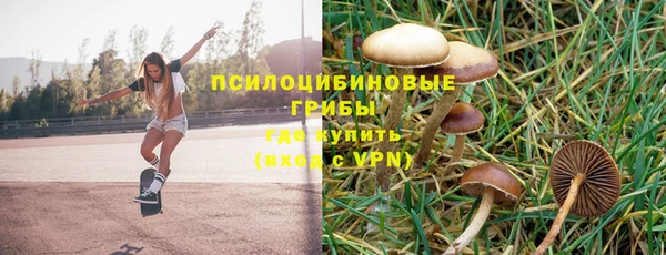гашик Михайловск