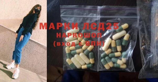 гашик Михайловск