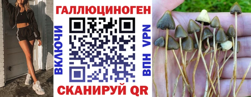 мега вход  Шатура  Псилоцибиновые грибы Psilocybine cubensis 