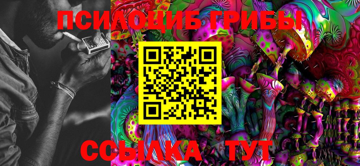 Галлюциногенные грибы прущие грибы Шатура