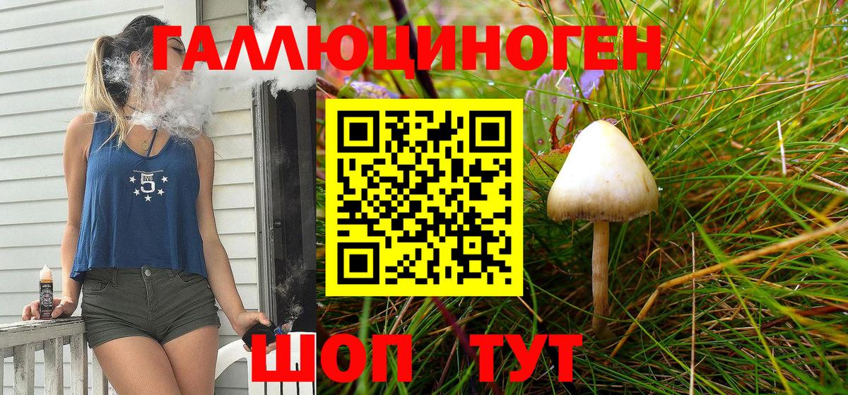 Галлюциногенные грибы Psilocybe Шатура
