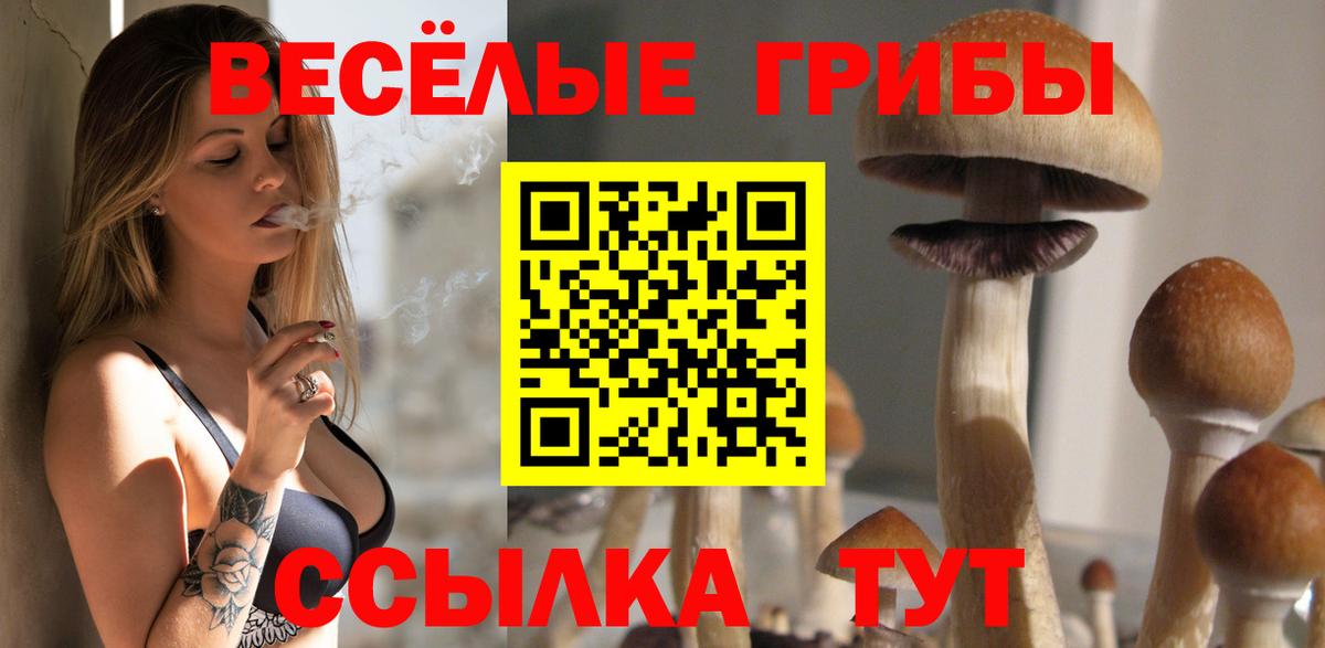 Псилоцибиновые грибы ЛСД  Галлюциногенные грибы Magic Shrooms  Вход с VPN  Шатура 